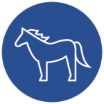 Horses/Livestock